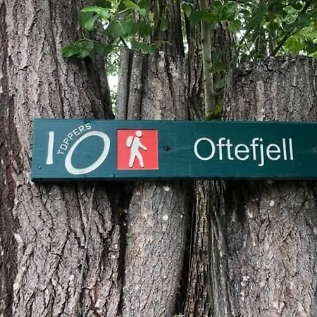 Sjarmerende Sentralt I Vest-telemark