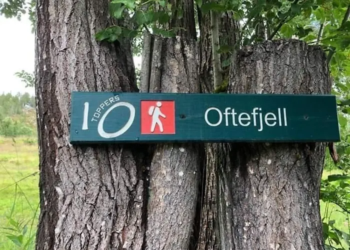 Sjarmerende Sentralt I Vest-telemark