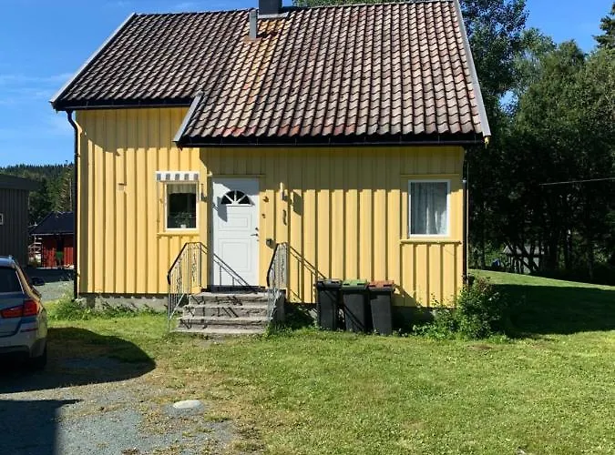 Sjarmerende Sentralt I Vest-telemark *